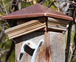 WHY PAY TWICE AS MUCH FOR WOOD?
