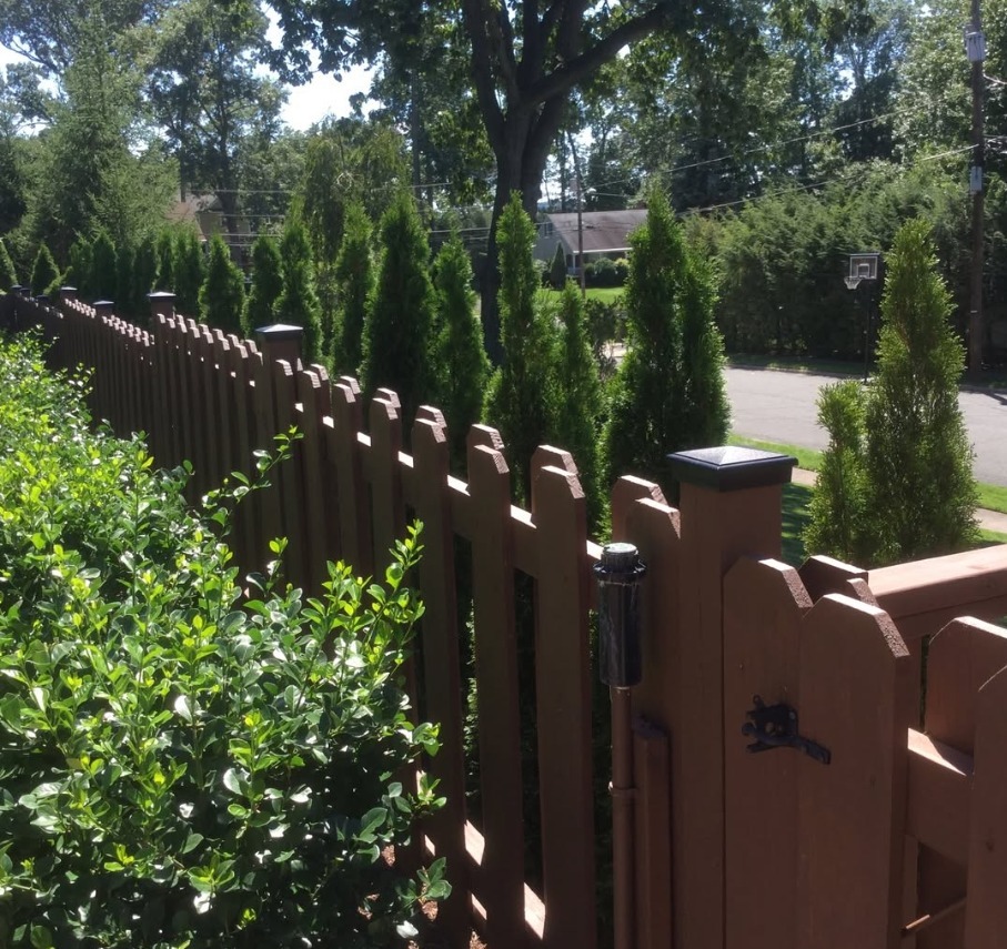 A brown wooden picket fence and gate running alongside tall evergreen shrubs, with trees and a street beyond.