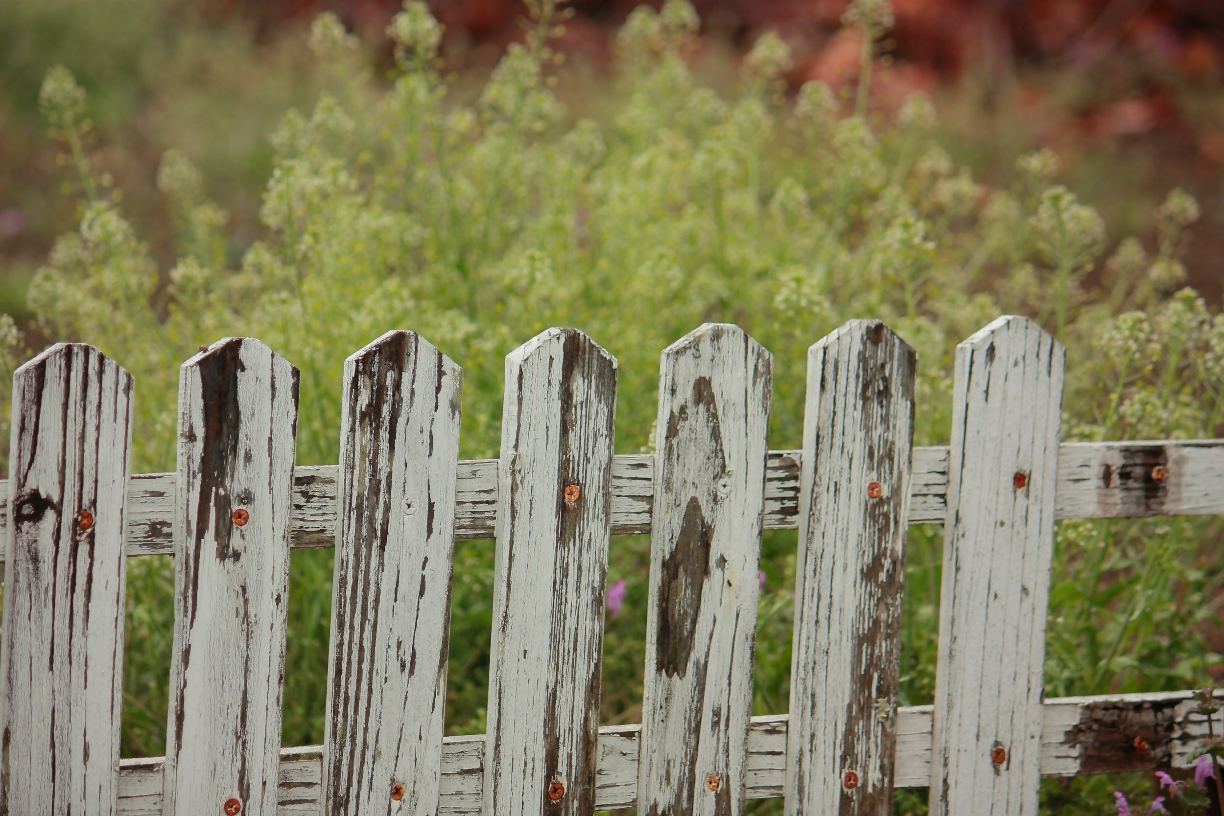 aged white picket fence